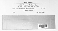 Image Associated With the Occurence